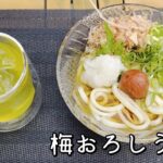 【キャンプ飯】夏にぴったり！梅おろしうどん！