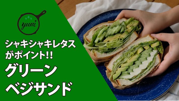 【季節の外ごはん vol.45】「キャンプでも野菜を摂ろう」シャキシャキのレタスが決め手！自宅で仕込む＜グリーンベジサンド＞