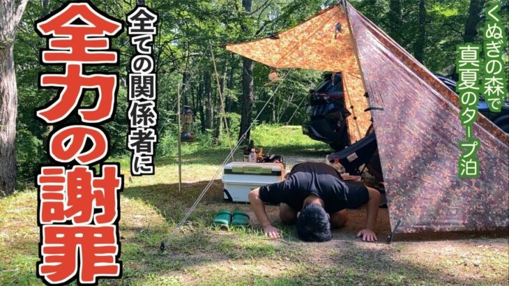 【爆盛り】真夏の森でスタミナ料理を作ったら想定外の1人大食い選手権が始まったソロキャンプ【キングギドラ】【山本五十六】【帝釈峡くぬぎの森オートキャンプ場】