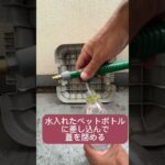 110円でキャンプ道具を綺麗に！高圧洗浄機並のパワー！#shorts