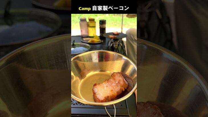 キャンプで自家製ベーコン #Shorts #料理動画 #キャンプ飯