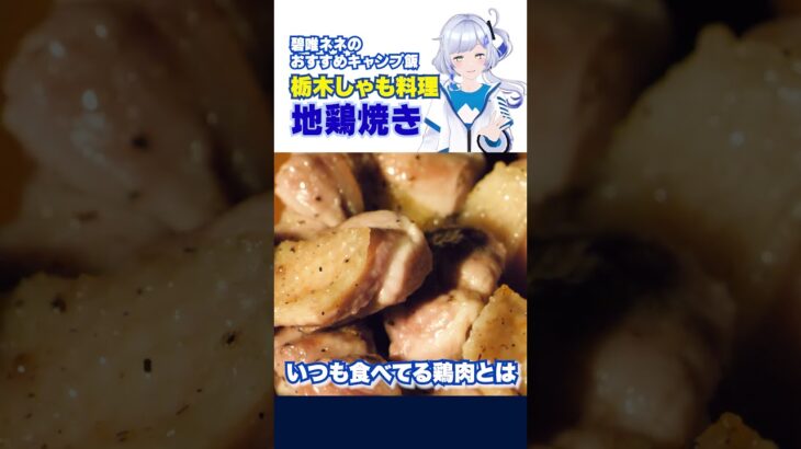 【おすすめキャンプ飯】栃木しゃもの地鶏焼き作ってみた #shorts