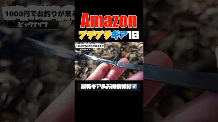 【キャンプギア⁉️】Amazonで買えるプチプラ便利ギア10選 #キャンプギア #ソロキャンプ #キャンプ道具