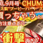 【BE-PAL 2023年10月号】これは買っちゃうやつ『CHUMS ステンレス製“ブービーバード”スキットル』開封レビュー 来月号がまさか過ぎて今年1番の衝撃【キャンプ道具】【チャムス】#561