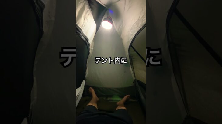 「大雨ソロキャンプ」タープ無しでパイクスピークの実力を試してみた。　#shorts #ソロキャンプ  #camping #パイクスピーク　#大雨ソロキャンプ　#キャンプ道具　#テントレビュー