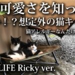 【ソロキャンプ 初心者】夜中に猫がテントの中に！突然始まる猫キャンプ！猫の可愛さを知った日 【猫動画・癒し・猫好き・かわいい・完ソロ・雨キャンプ・なぎの木・大野城ベース・福岡・キャンプ飯・ソロドーム】