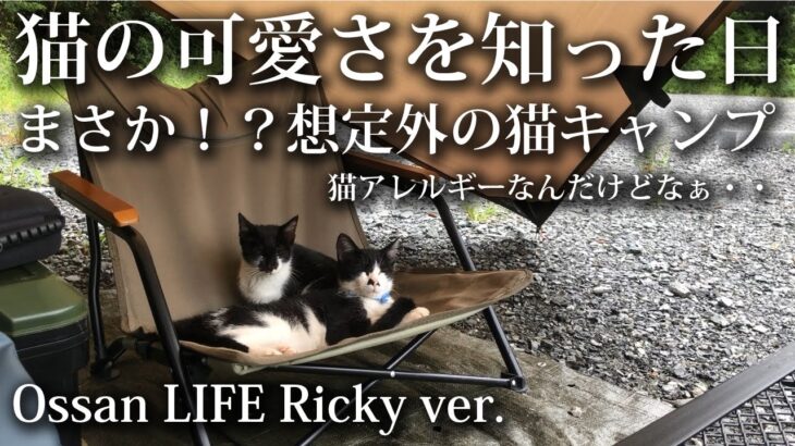 【ソロキャンプ 初心者】夜中に猫がテントの中に！突然始まる猫キャンプ！猫の可愛さを知った日 【猫動画・癒し・猫好き・かわいい・完ソロ・雨キャンプ・なぎの木・大野城ベース・福岡・キャンプ飯・ソロドーム】