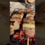 キャンプ初心者の炭火焼鳥！やっぱ炭火は調味料！ #キャンプ飯