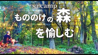 夫婦キャンプです。 　兵庫県香美町にある、グリーンパークハチ北 もののけの森キャンプ場で自然と料理とコーヒーを愉しみます。