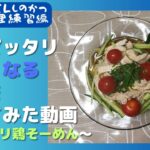 【久々息子出演】夏にピッタリ涼しい料理を食べたくなったので作ってみた動画～サッパリ鶏そーめん～【オリジナルそーめん】【キャンプ料理】【夏料理】【手作りめんつゆ】【ビールによく合う】