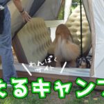 犬連れ初心者キャンパーにはこのキャンプ場が最高です