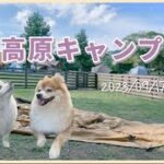 【キャンプ】1年ぶりのキャンプ！神鍋高原キャンプ場