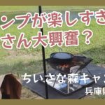 加東市東条湖にある「ちいさな森キャンプ村」でデイキャンプしてきた #焚き火 #デイキャンプ #camp