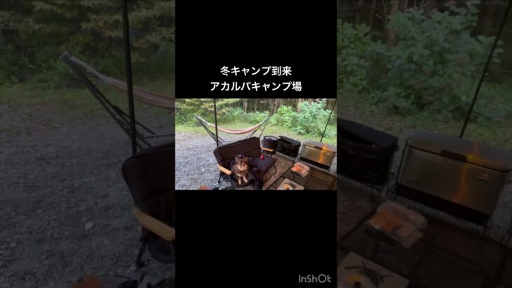 アカルパキャンプ場、本日のレイアウト⛺️冬仕様始めました！　そしてまさかの雨… #アウトドア #キャンプ #キャンプギア #ファミリーキャンプ #ogawa #キャンプ道具