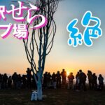 【キャンプ場紹介】絶景！花の駅せら　満開のコスモスと雲海