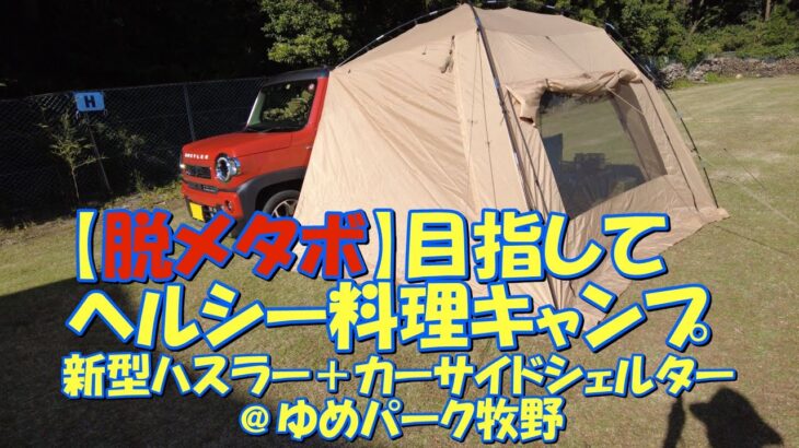 【脱メタボ】目指してヘルシー料理キャンプ 新型ハスラー＋カーサイドシェルター@ゆめパーク牧野