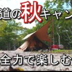 【北海道ソロキャンプ】秋キャンプを全力で楽しんでみる　白老ぶうべつの森キャンプ場