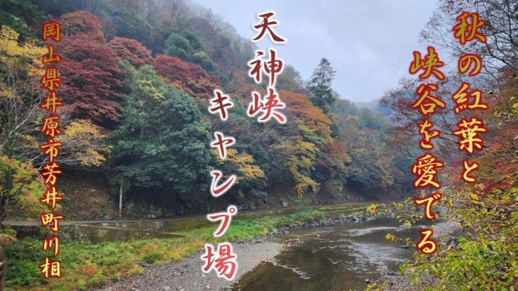 #7.初心者ソロキャンプ　秋の紅葉キャンプ（岡山県井原市芳井町　天神峡キャンプ場）