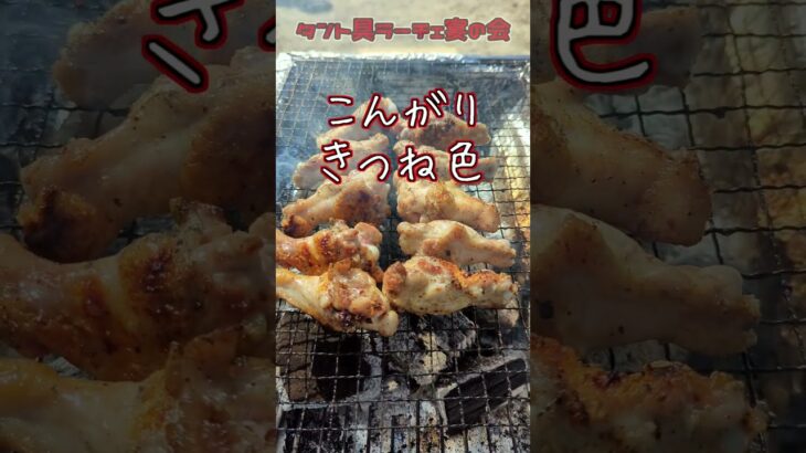 キャンプで焼く手羽元は最高！ジューシーで絶品！ #キャンプ飯　#手羽元　#BBQ