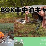 【前半】愛犬とN-BOXで車中泊キャンプ｜初の焚き火にチャレンジ｜信州まるべりーオートキャンプ場【チワックスとペキシーズー】chifuachshund&pekishihzu