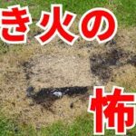 【キャンプ】初心者も経験者も失敗しがち！？焚き火の熱だけで芝生が燃える原因と対策