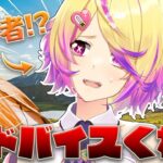 【ソロキャン初心者】来たるキャンプ配信にむけてしおりを作るからキャンプのアドバイスください！！【深層組 / 刺杉あいす】