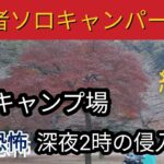 【青根キャンプ場】ソロキャンパーの1日　深夜2時の侵入者　#すき焼き #キャンプ #キャンプ飯 #チャーハン #キャンプ初心者 #bbq #青根キャンプ場 #焚き火 #オムライス