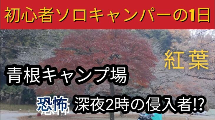 【青根キャンプ場】ソロキャンパーの1日　深夜2時の侵入者　#すき焼き #キャンプ #キャンプ飯 #チャーハン #キャンプ初心者 #bbq #青根キャンプ場 #焚き火 #オムライス