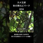 カメ五郎の最低限の道具で乗り切る弾丸サバイバルキャンプ［2014］ #camp #野営 #カメ五郎