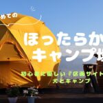 わんことキャンプ🏕️日産キックスで行く　初めての『ほったらかしキャンプ場』区画サイト3おすすめです✨