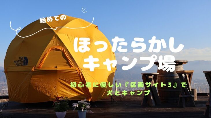 わんことキャンプ🏕️日産キックスで行く　初めての『ほったらかしキャンプ場』区画サイト3おすすめです✨