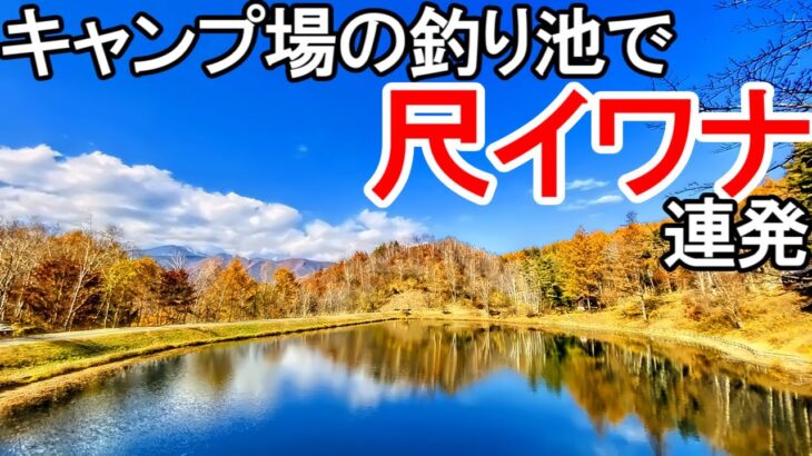 尺イワナ連発の高ソメキャンプ場でソロキャンプ