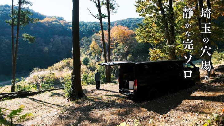 薪ストーブと煮込み料理で静かな車中泊ソロキャンプ【スカイパーク毛呂山】