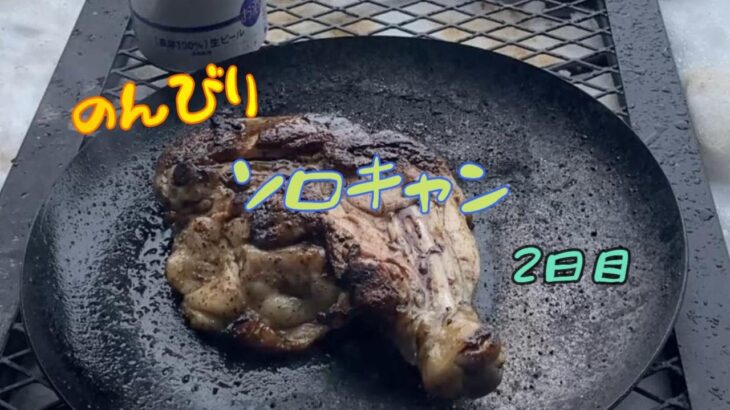 【ソロキャンプ】おこもりキャン、2日目