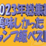 【2023年総集編】美味しかったキャンプ飯ベスト５（定番料理４選もあるよ）