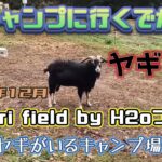 キャンプに行くでがんす #3「ヤギがいるキャンプ場　Hattori field by H2oファーム(広島県福山市)」