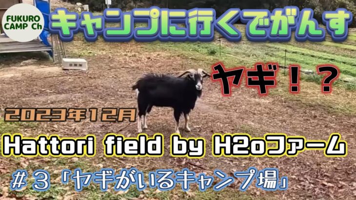 キャンプに行くでがんす #3「ヤギがいるキャンプ場　Hattori field by H2oファーム(広島県福山市)」