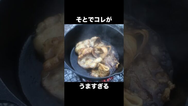 【そとでコレがうますぎる】キャンプでの豚バラは別格 #shorts #デイキャンプ #キャンプ飯 #アウトドア #豚バラ #焚火 #焚き火料理