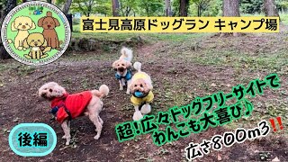 犬連れキャンプです♪夫婦２人とデカプー３匹のマッタリキャンプです😊まだまだ素人キャンパーなので至らない点が多々あるかと思いますが温かい目で見守って頂けますと幸いです☺️