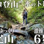 【ソロ登山】ゆっくり初心者登山！｜水のトレイルが超楽しい！高尾山の自然豊かな激推シ６号路！！｜東京都 高尾山