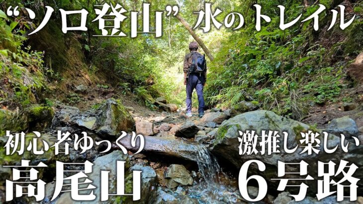 【ソロ登山】ゆっくり初心者登山！｜水のトレイルが超楽しい！高尾山の自然豊かな激推シ６号路！！｜東京都 高尾山