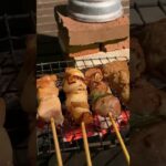 キャンプ初心者の焼き鳥1人飲み #キャンプ飯