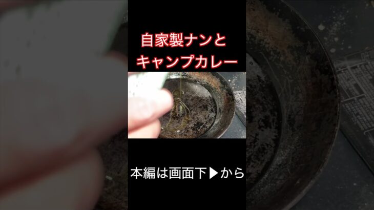 自家製ナンとキャンプ用カレー具材でビーフカレーを作る #Shorts