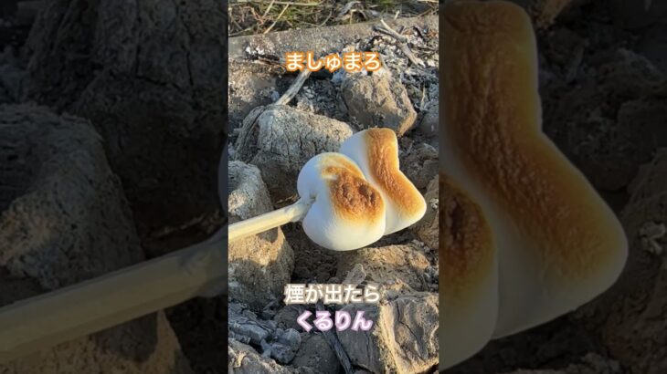 かんたんマシュマロの焼き方👍✨#キャンプ、#camping、#nature 、#料理、#cooking