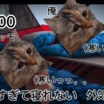 初心者の初めての冬キャンプの日常（#猫ミーム #猫meme #猫マニ ）