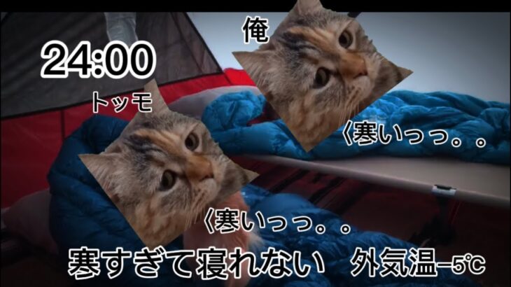 初心者の初めての冬キャンプの日常（#猫ミーム #猫meme #猫マニ ）