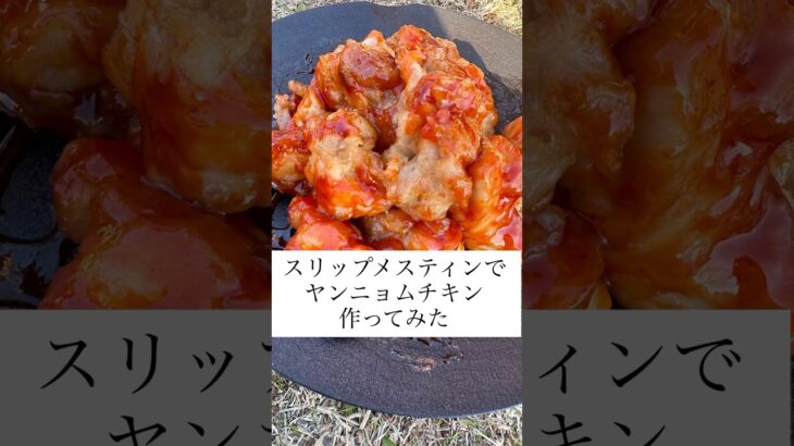 スリップメスティンでヤンニョムチキン作ってみた#スリップメスティン #キャンプどうでしょう #キャンプめし #キャンプ飯 #キャンプ道具 #キャンプ #アウトドア #韓国料理