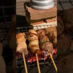 キャンプ初心者博多焼き鳥がめちゃくちゃ美味いことを知る #キャンプ飯