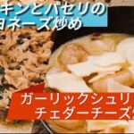 【ソロキャンプ】酒のつまみと朝飯