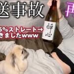 【泥酔】デロデロっ…/// 酒を覚えた女が日本酒に目覚め放送事故レベルに…【ソロキャンプ】